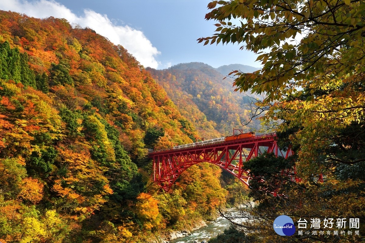 鐵道迷注意！持阿里山林鐵車票　可免費搭日本黑部峽谷鐵道 台灣好新聞 第1張