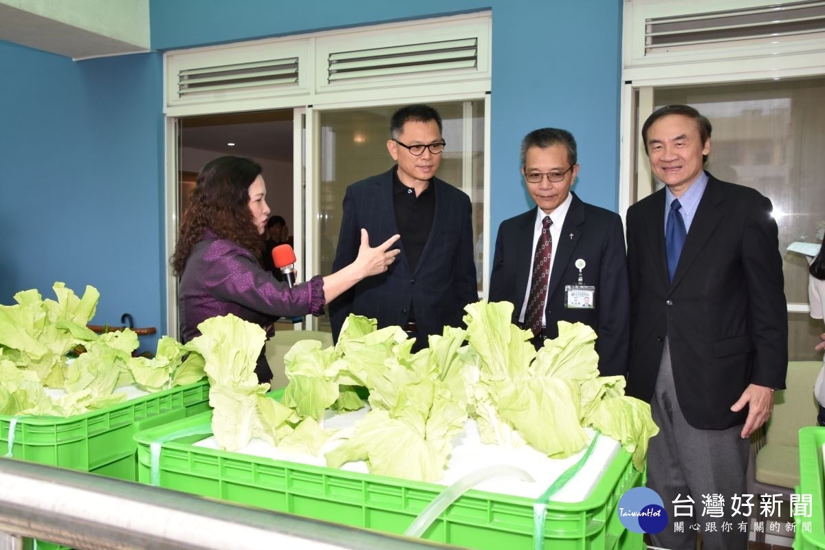 失智長輩透過「魚菜共生」養魚兼種菜,身心靈得到釋放。
