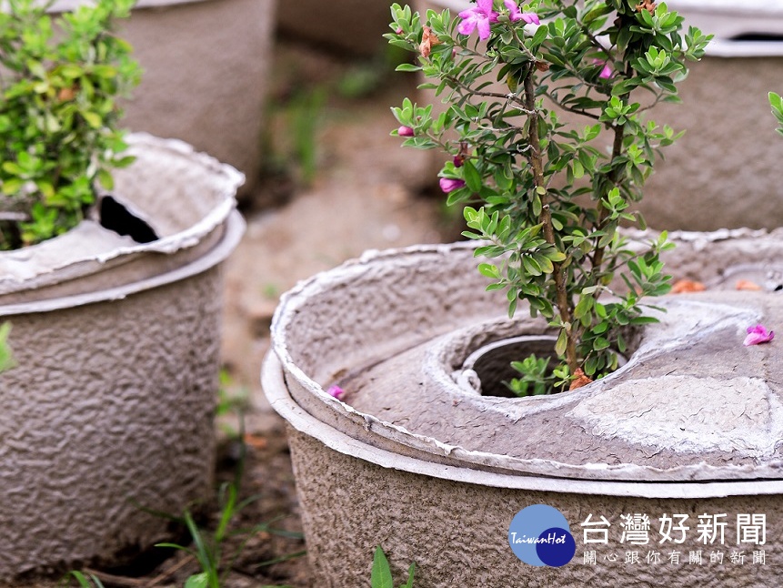 「水寶盆」解決了海邊缺水問題,並穩定地溫、防風、防止樹苗被砂埋,幫助樹苗順利成長。
