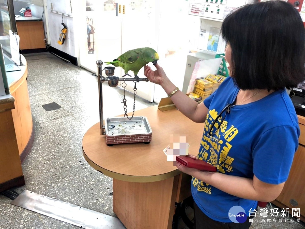 小黃帽鸚鵡要回家 員警FB貼文尋獲飼主