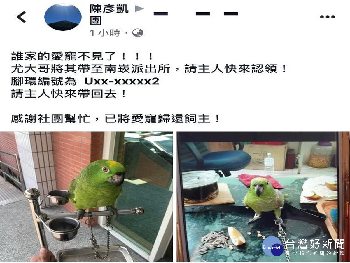 調皮的小黃帽亞馬遜鸚鵡「離家出走」,熱心的警員陳彥凱透過臉書找到飼主,讓小鸚鵡得以回到主人身邊。