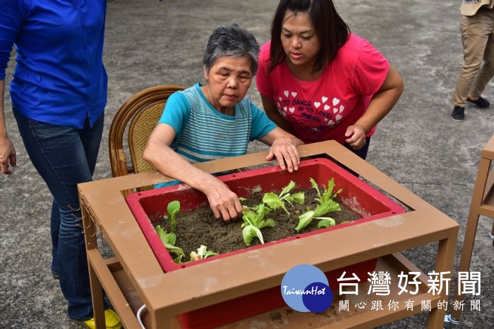 平鎮區北貴里移動菜園
