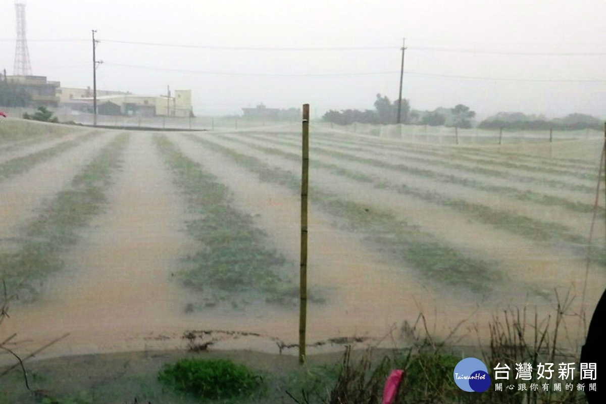 遭到大雷雨侵襲，桃園市沿海地區楊梅、觀音、新屋一帶低窪處農田一片汪洋，瓜田慘遭水淹。