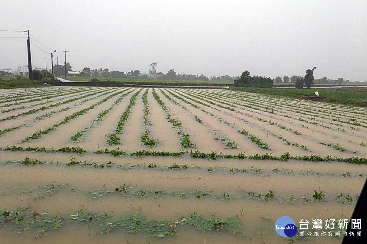 遭到大雷雨侵襲，桃園市沿海地區楊梅、觀音、新屋一帶低窪處農田一片汪洋，瓜田慘遭水淹。