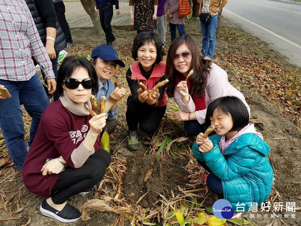 米86（織羅部落）-使用在地特產”葛鬱金”製作雪花糕 。（圖/記者王丰和攝）