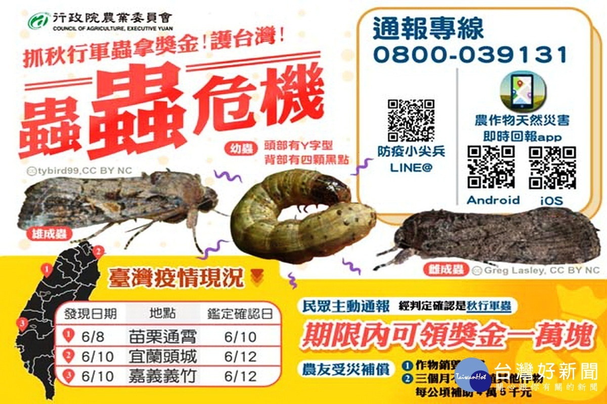 行政院農委會推出「蟲蟲危機」宣導,請民眾抓行軍蟲拿獎金護台灣。