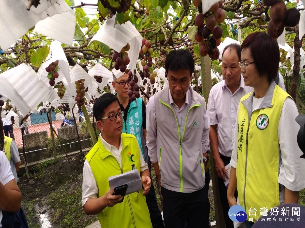 陳吉仲關心彰化葡萄災情 指示辦理現金救助