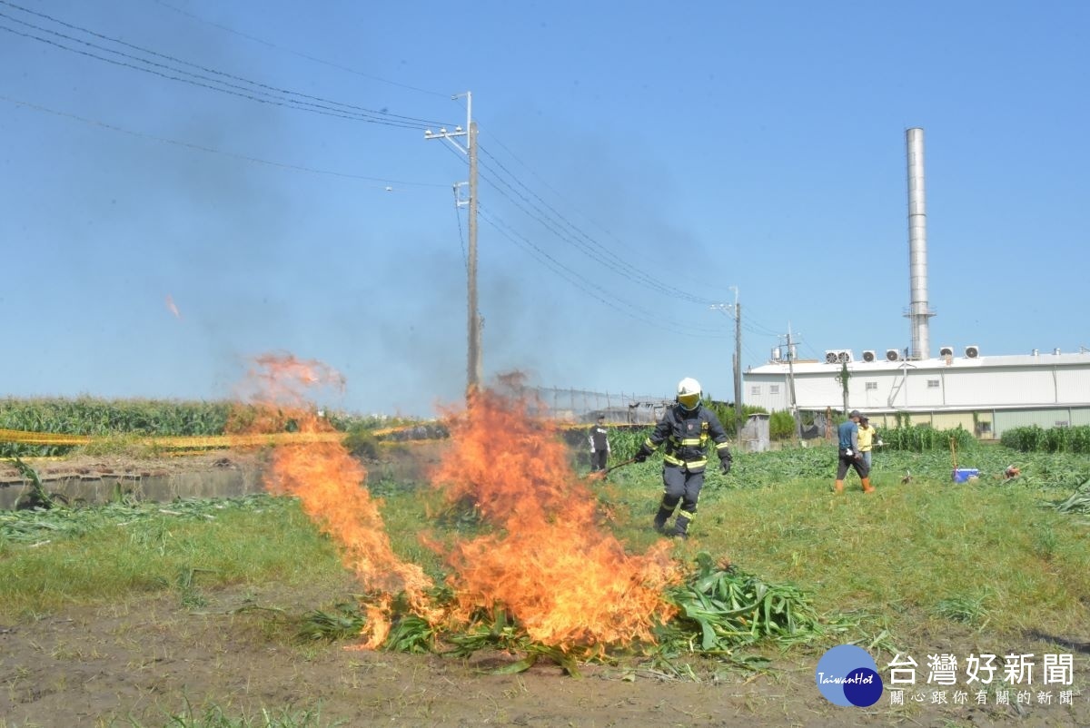 彰化縣啟動秋行軍蟲災害緊急應變小組進行焚燒作業。