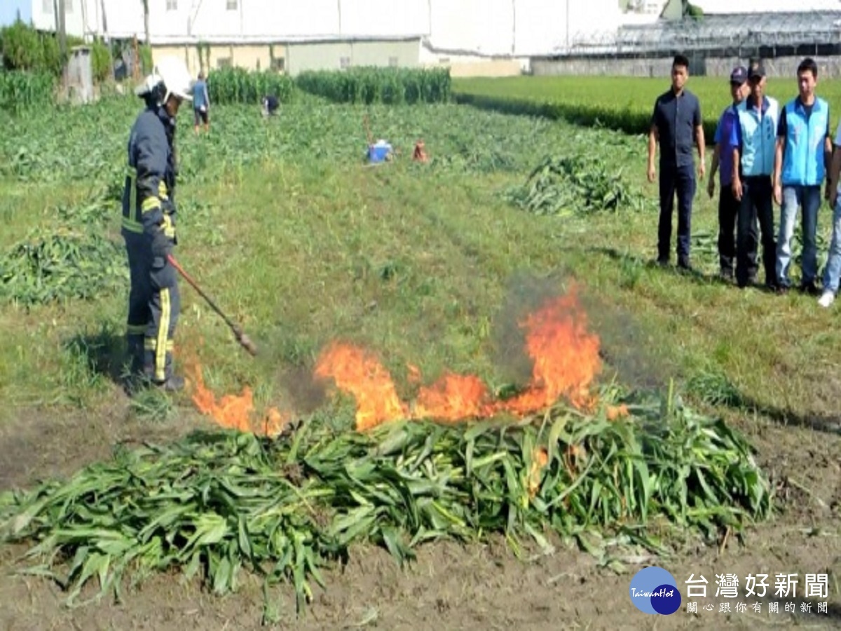 秋行軍蟲來勢洶洶　彰化建立單一窗口掌控疫情 台灣好新聞 第5張