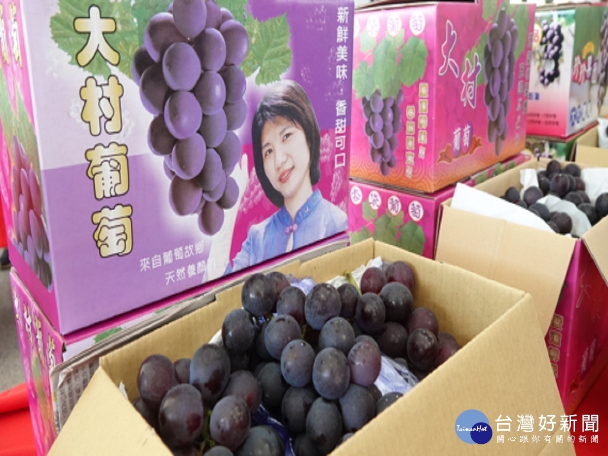 評鑑榮獲第一名 大村葡萄文化季邀鄉親前來品嘗