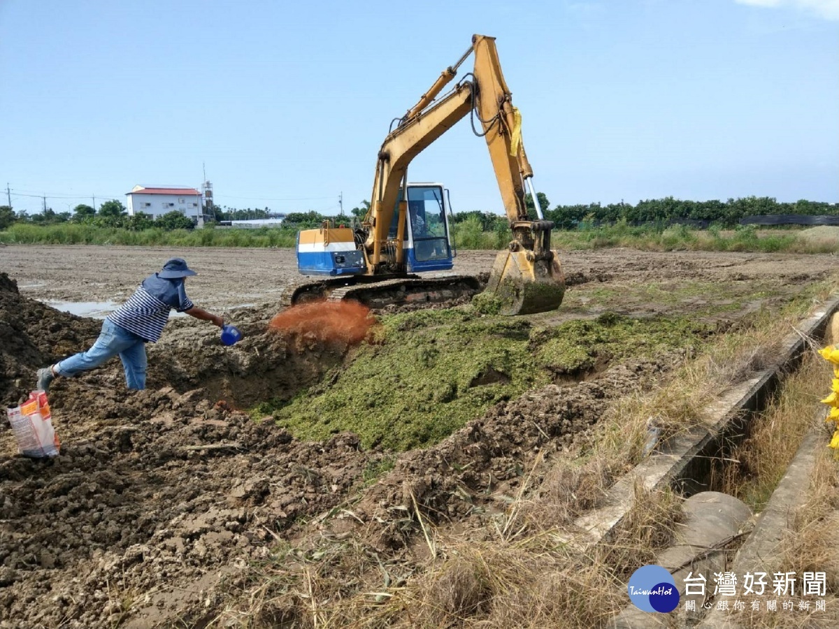 台南市18日起進入第二階段強制噴藥防治。