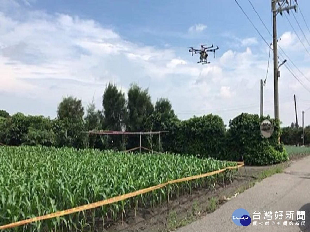 秋行軍蟲火攻效果不彰 彰縣出動無人機噴藥滅蟲