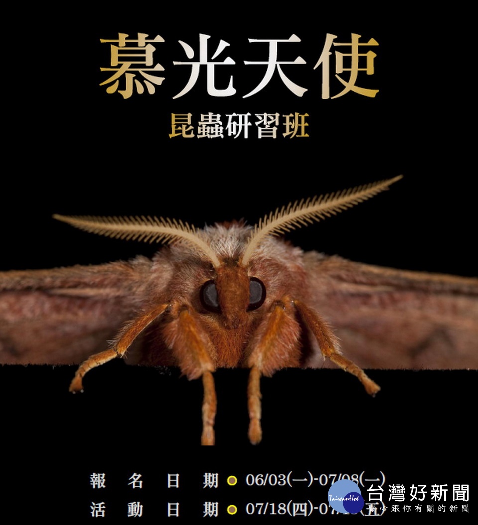 南投林管處邀您來探索蝶蛾世界。(南投林管處提供)