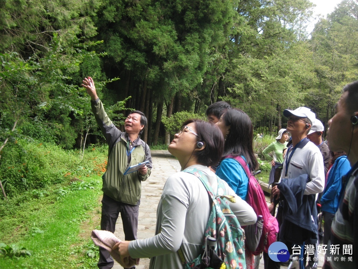 阿里山植物解說