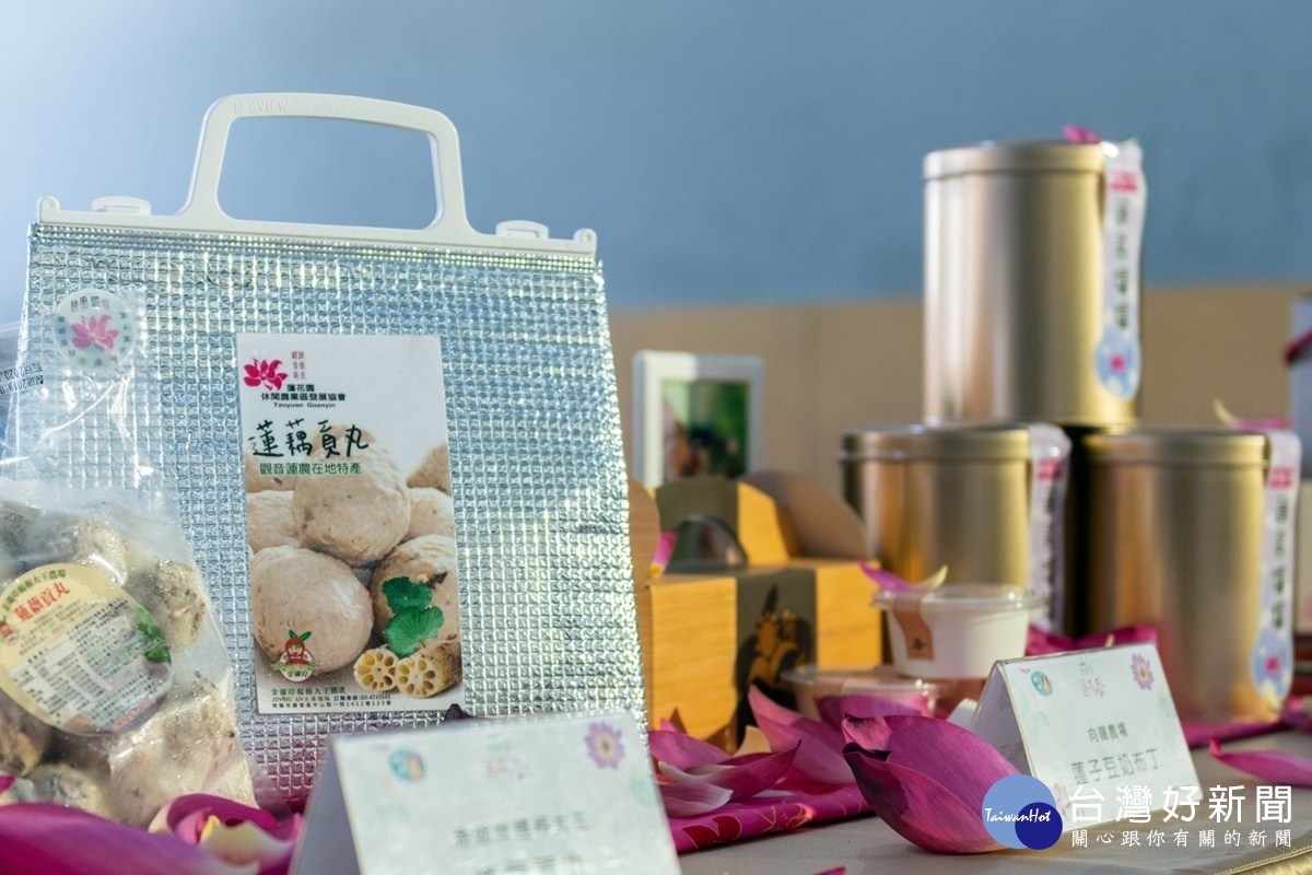 2019桃園蓮花季6/29日起跑 享受觀音美好賞蓮之旅