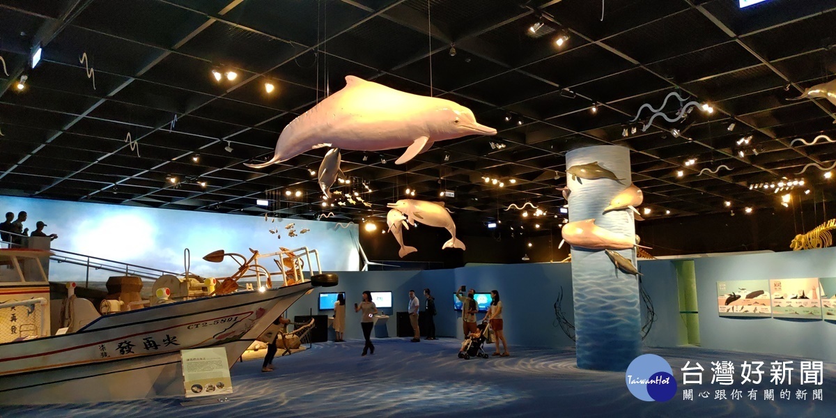 『拍岸鯨奇-當鯨豚與人相遇』特展模擬台灣西部海岸生態。
