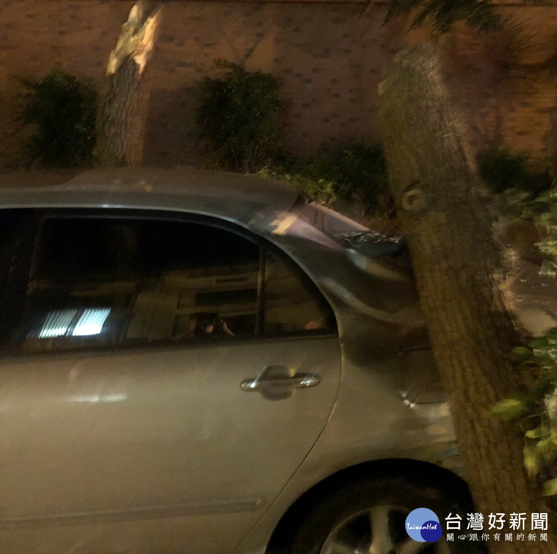 一棵路樹斷裂壓壞一台自小客車,樹幹橫躺佔用了一個車道。