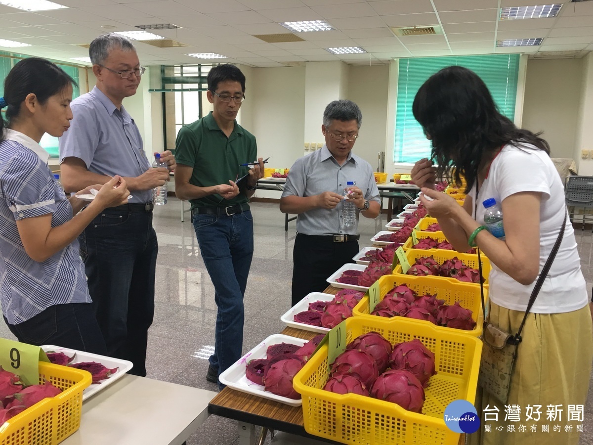 評審審慎品評。(記者扶小萍攝)