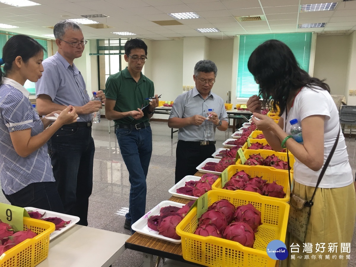 評審審慎品評。（記者扶小萍攝）