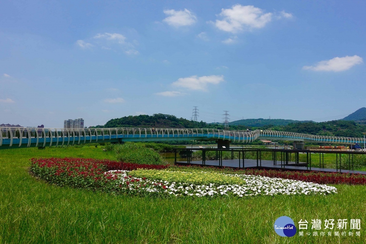 關渡碼頭花海 花況大盛開(圖/台北市水利處提供)