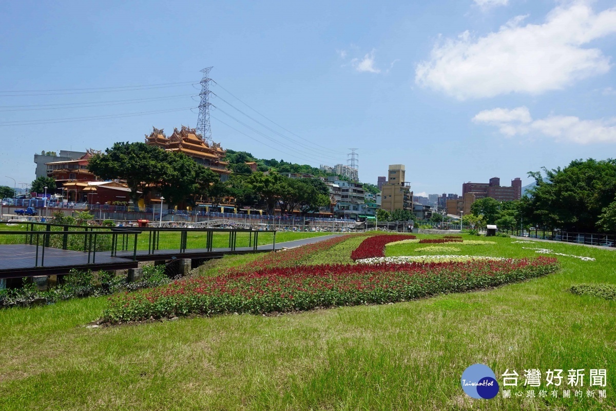 夏季限定 關渡碼頭花海活力綻放（圖／台北市水利處提供）