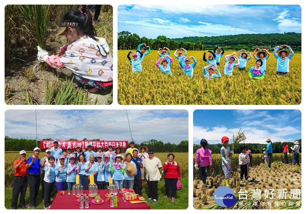 一百多位支持友善耕種的民眾,在楊梅區清辰農場辦理「耕一畝友善農田」收割活動。