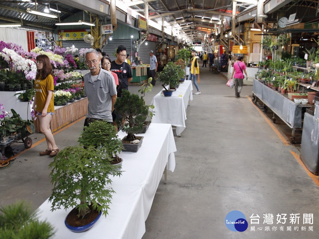 夏日賞花趣大里農會國光花市辦精緻盆栽展 蕃新聞