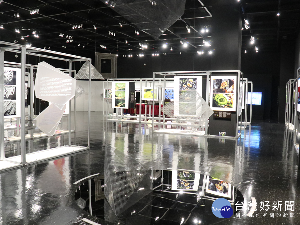 國立自然科學博物館7月13日起聯合展出第4+5屆的科學攝影展,展場設計以「浮光≒謎離」為主題。(圖/記者王丰和攝)