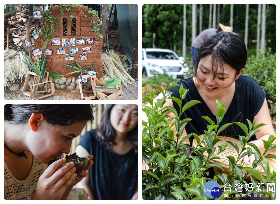 半農生活坊國際志工營體驗採茶、手做土角磚，有著客家血統的加拿大志工Maya透過學習客家茶文化尋根客家。