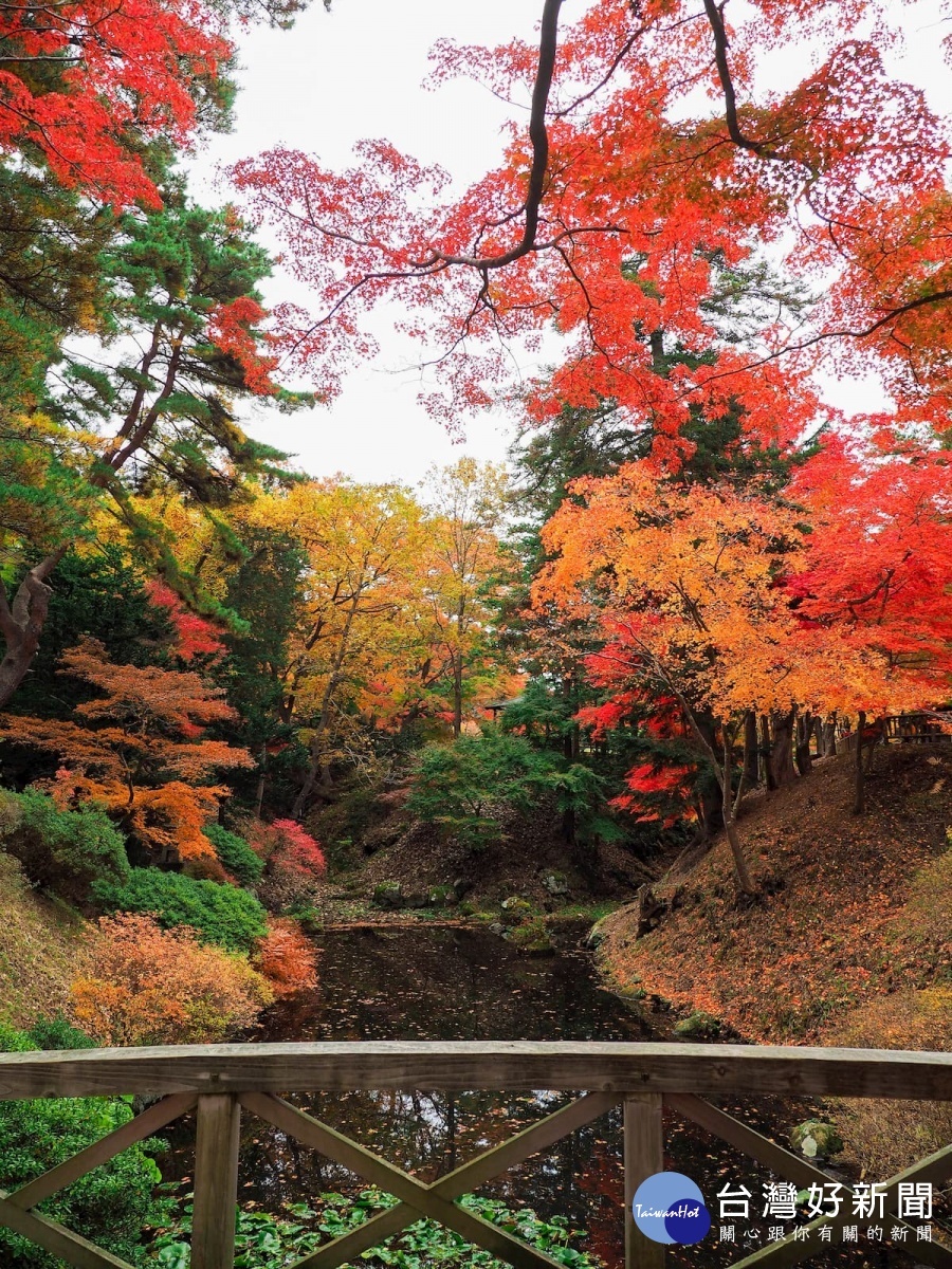 秋季的見晴公園一眼望去，林立的楓樹猶如披了一件鮮紅的袍子，秋色宜人。（圖／喜鴻假期提供）