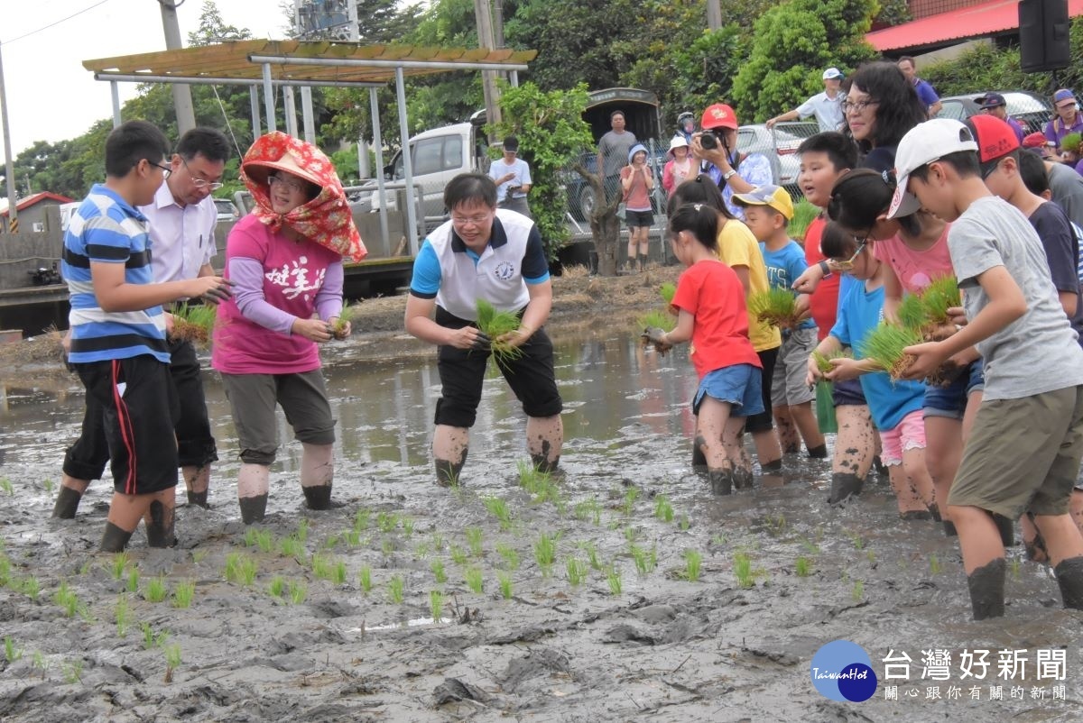 香田國小食農教育夏令營的插秧體驗。