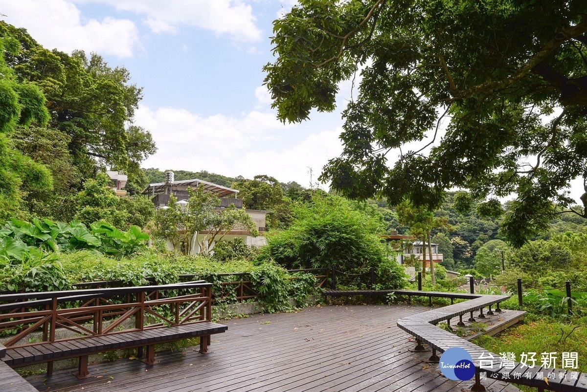 百年無患子樹觀景平台(圖/台北市大地工程處提供)
