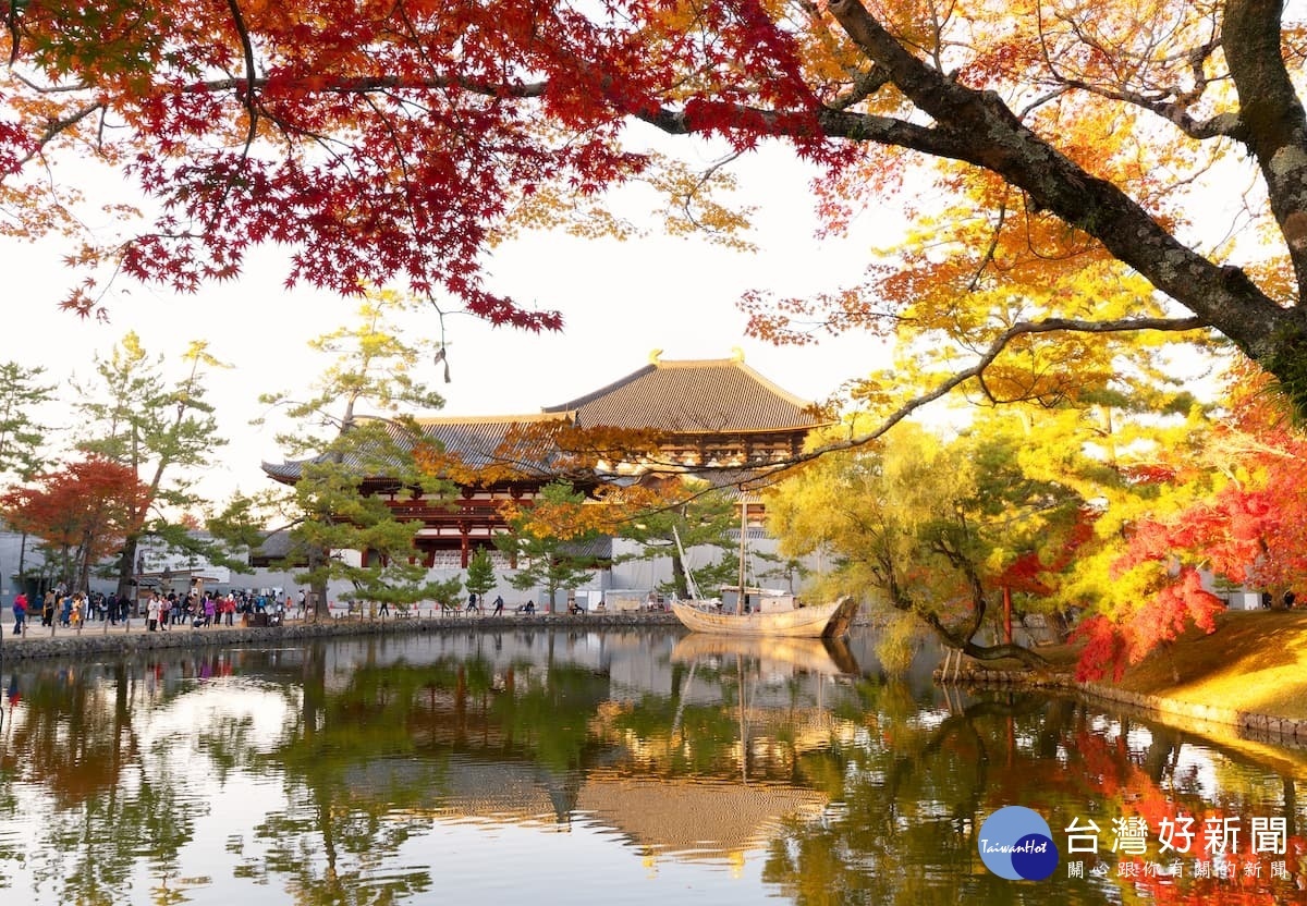 秋季的奈良公園除了可以餵食可愛的鹿群還可以欣賞美麗楓景。(圖/喜鴻假期提供)