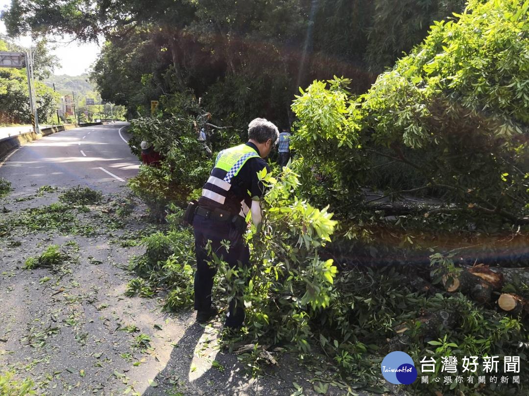 利奇馬颱風過境後造成路樹倒蹋，龍潭警為維護用路安全交管及排除道路障礙。