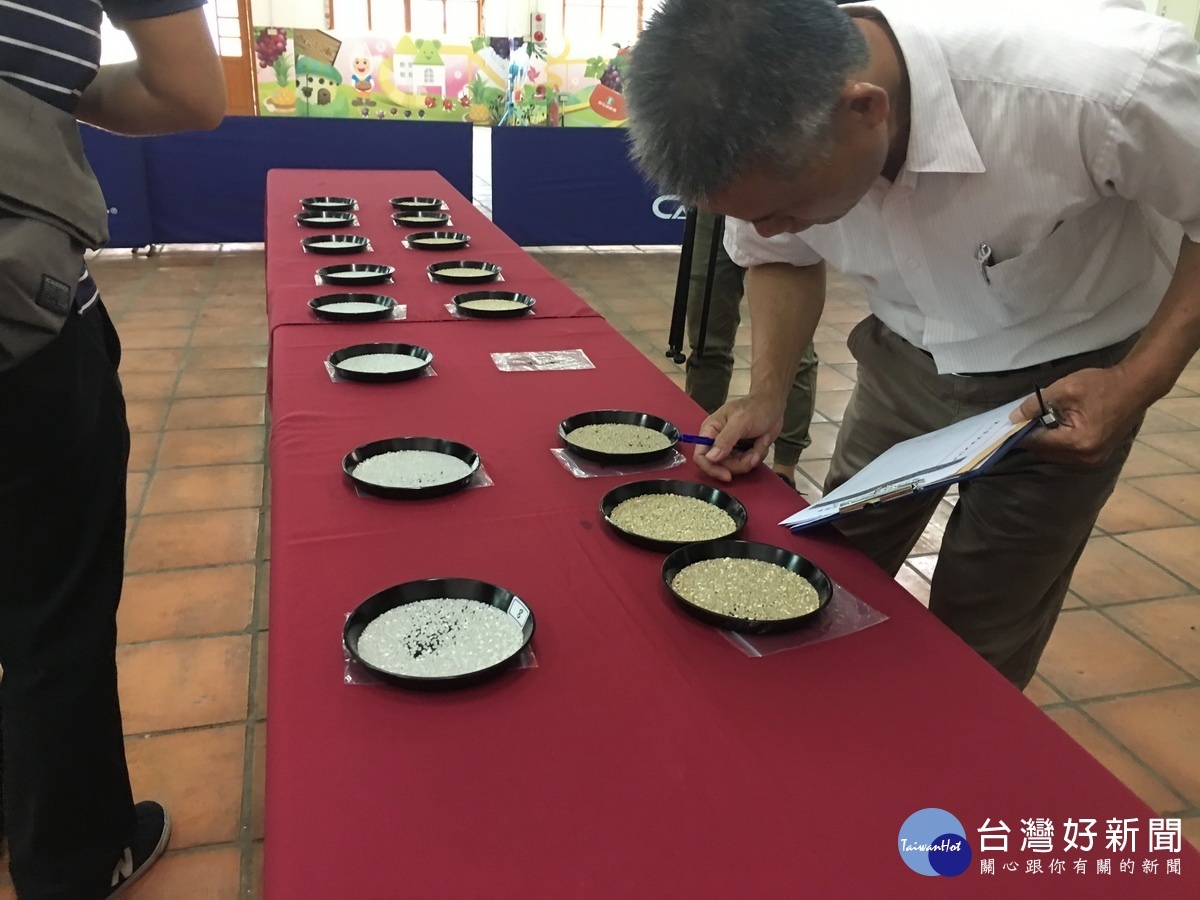 評審品評相當嚴謹。( 記者扶小萍攝)