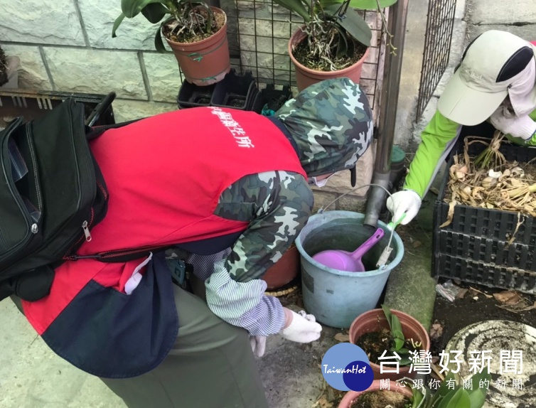 桃市公告登革熱防疫措施,呼籲民眾清除積水容器,加強居家環境整頓。