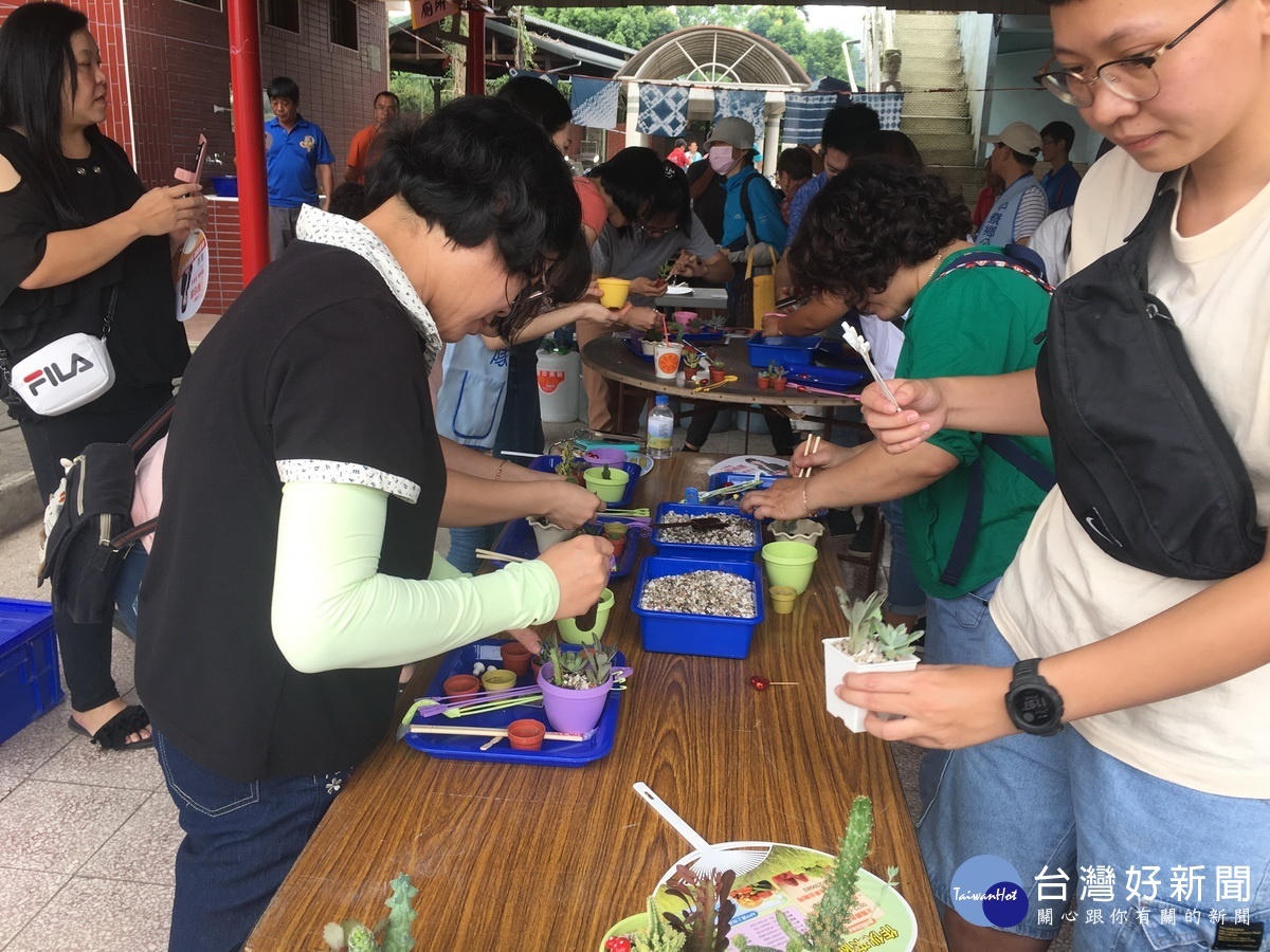 多肉植物小盆栽DIY置於室內很受歡迎。(記者扶小萍攝)
