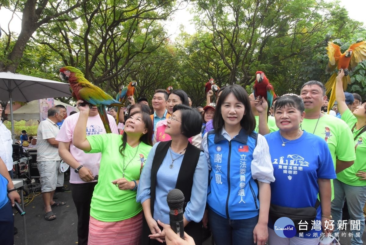 108年東螺溪戀戀欒樹節中的鸚鵡放飛，場面壯觀。