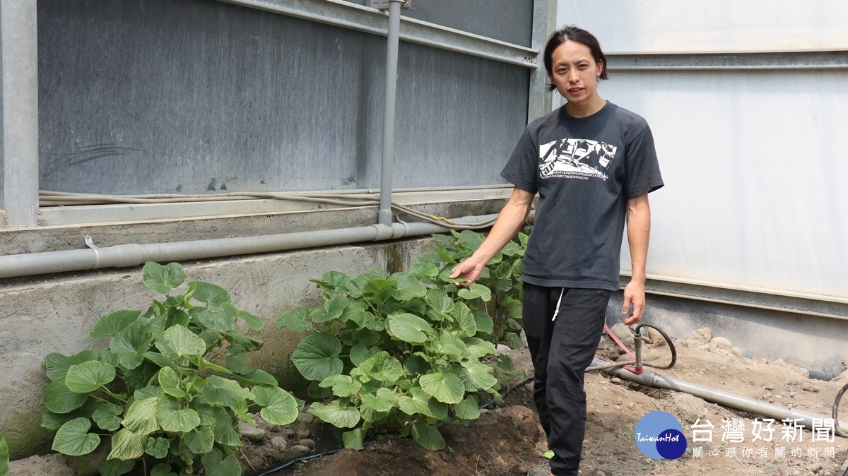 林詹梃跟兩位哥哥都是返鄉青年，在大溪從事有機香草種植另外還有漁業養殖跟小規模的飼養雞鴨等，然後賣給米其林餐廳。(圖/記者王丰和攝)