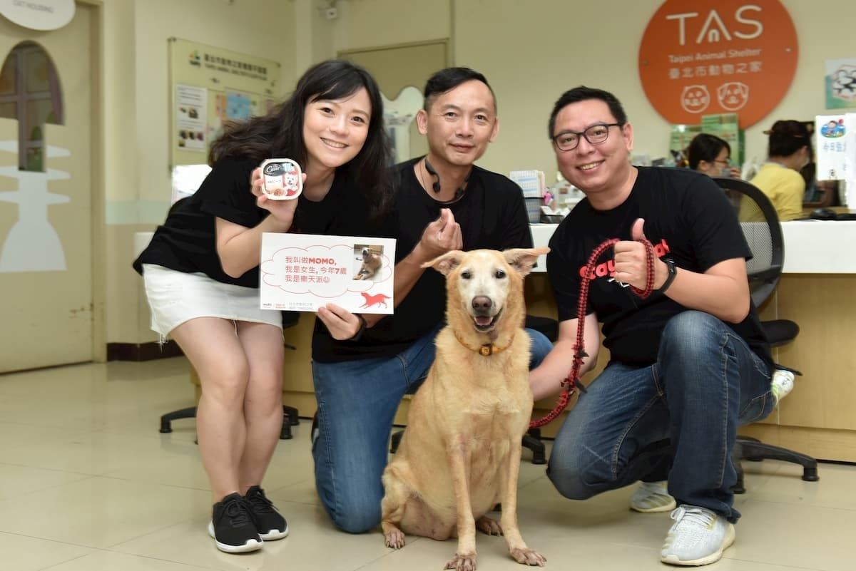 透過與毛小孩近距離的接觸,不少第一次參加類似活動的員工都感覺很療癒,也更瞭解公司的使命感與品牌的價值。(圖/妙題整合行銷有限公司提供)