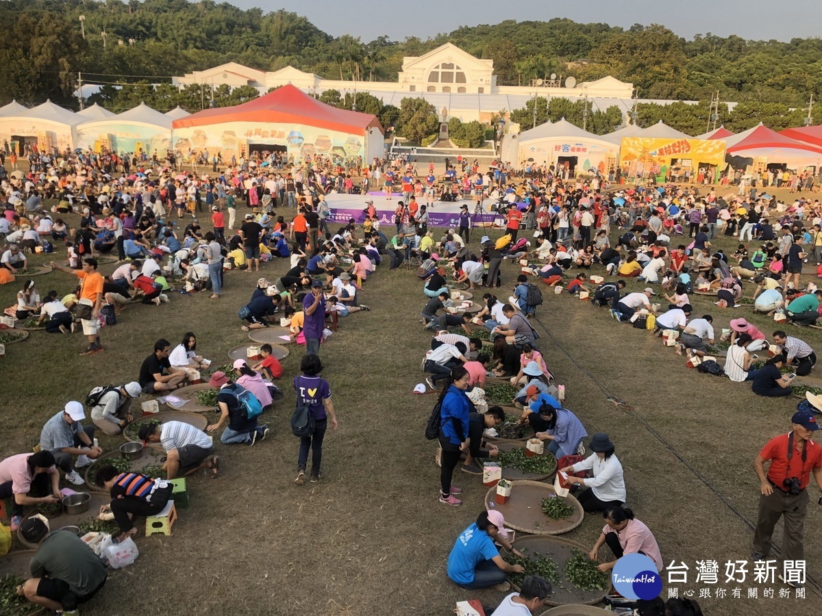 千人揉茶是茶博第一場千人盛會。(記者扶小萍攝)