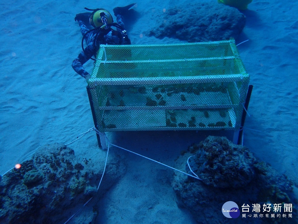 （圖／台東縣政府農業處提供）