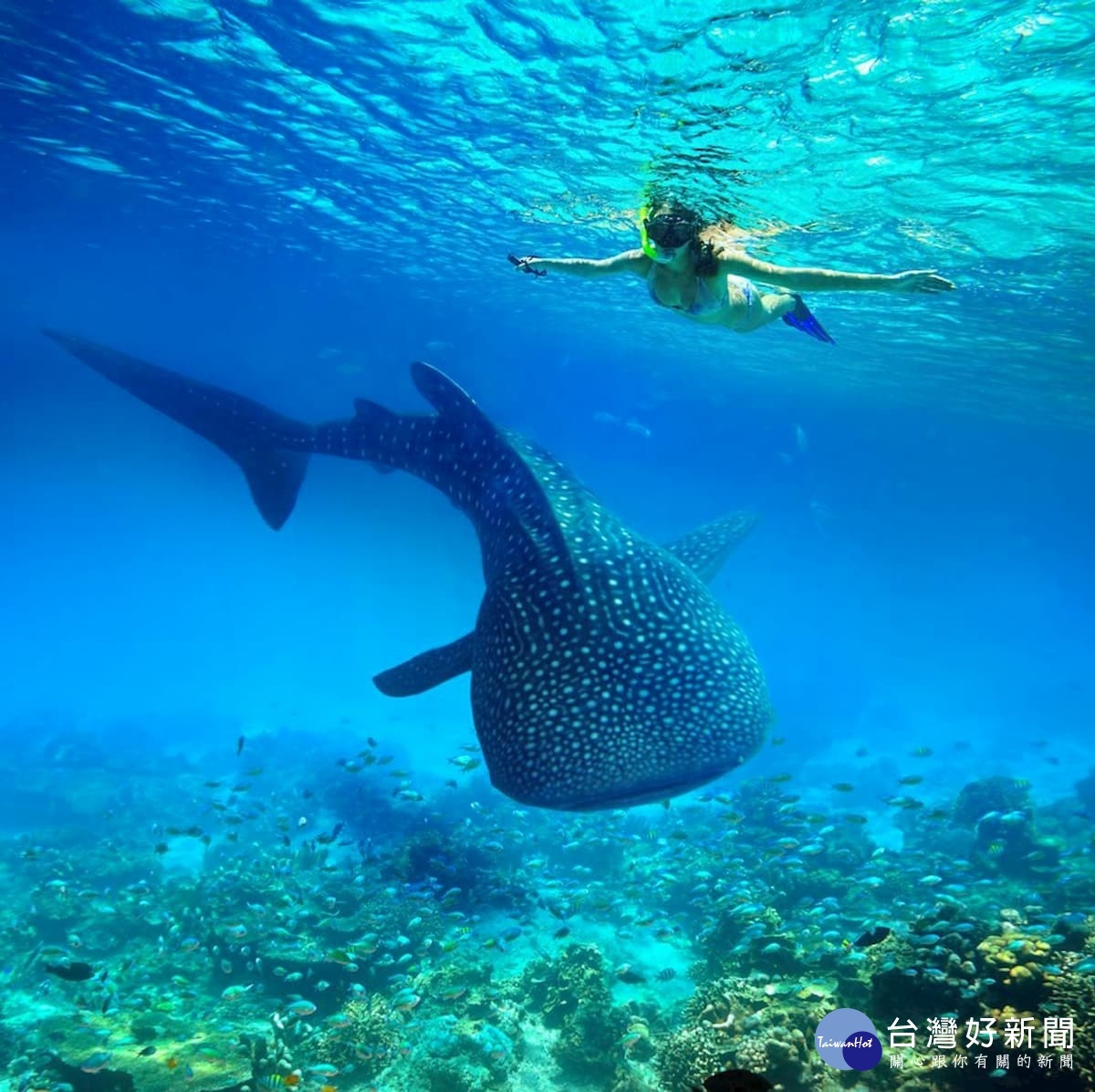 打趴長灘、峇厘島！　暢遊旅行社：想體驗潛水活動，「這個海島」最好玩！ 台灣好新聞 第2張