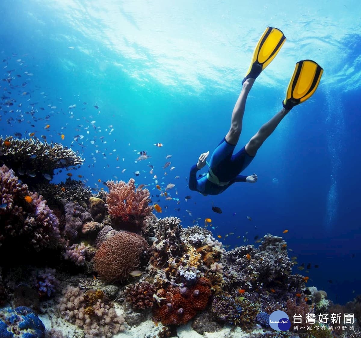 巴里卡薩島是地球上最著名的「三大斷層」,得天獨厚的地景資源非常適合潛入海底,欣賞鬼斧神工的地形。