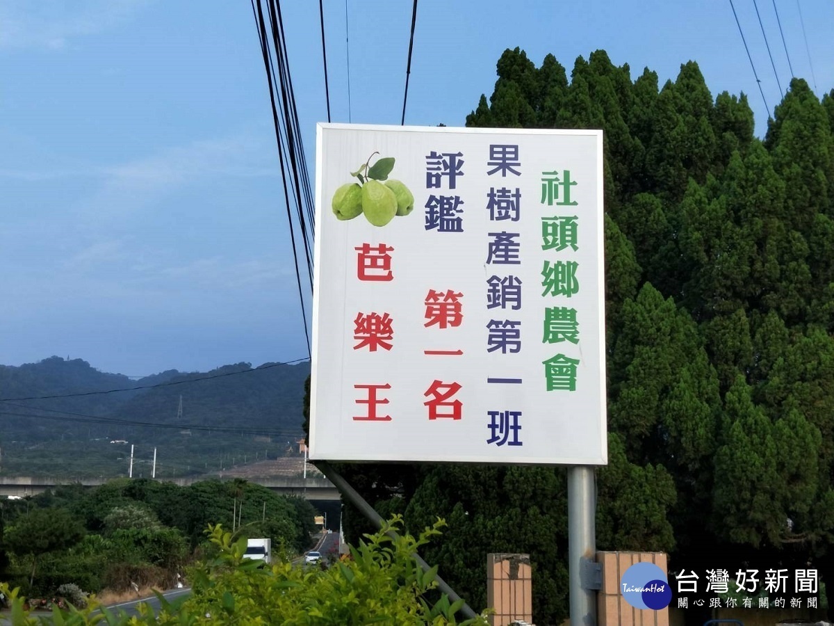 冠軍芭樂竊盜案結果逆轉 法官:無相關證據不起訴