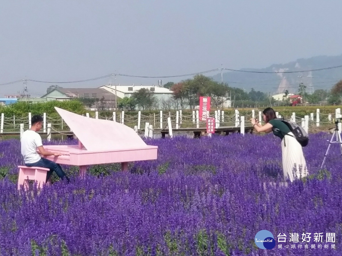 后里中社花市百合花季登場　中彰投苗民眾賞花半價 台灣好新聞 第4張