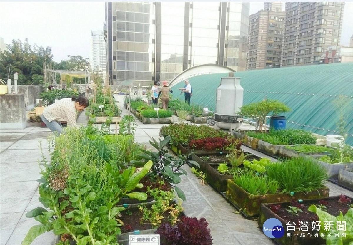 台中市北區推年蘭持續推動低碳家園，其中像是明德里屋頂農場，形成呂屋頂。(圖/台中市府環保局)