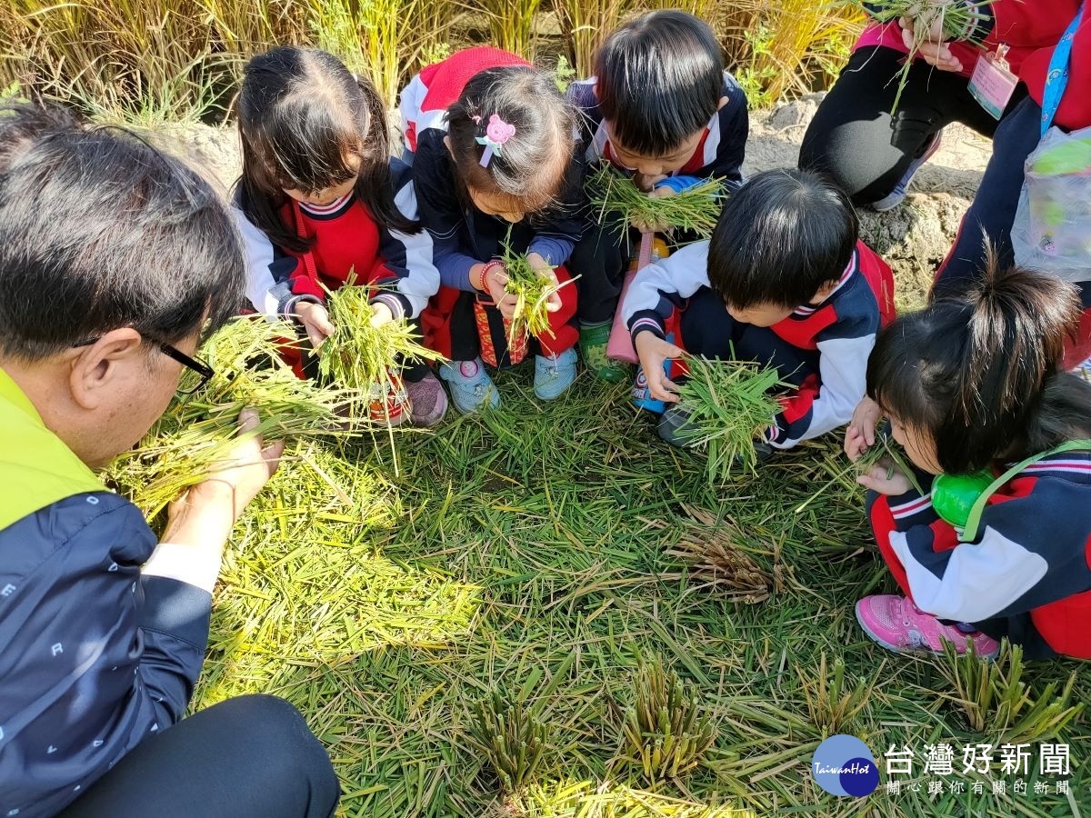 彰化市長林世賢到場和小朋友親切互動,並和小朋友一起聞稻穀與收割後稻草的香味。圖/記者鄧富珍攝