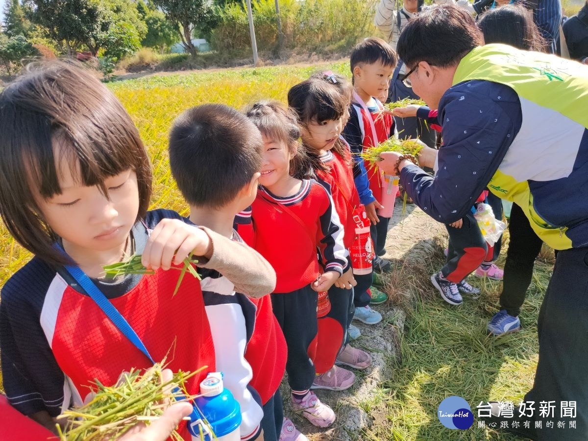 彰化市長林世賢到場和小朋友親切互動,並和小朋友一起聞稻穀與收割後稻草的香味。圖/記者鄧富珍攝