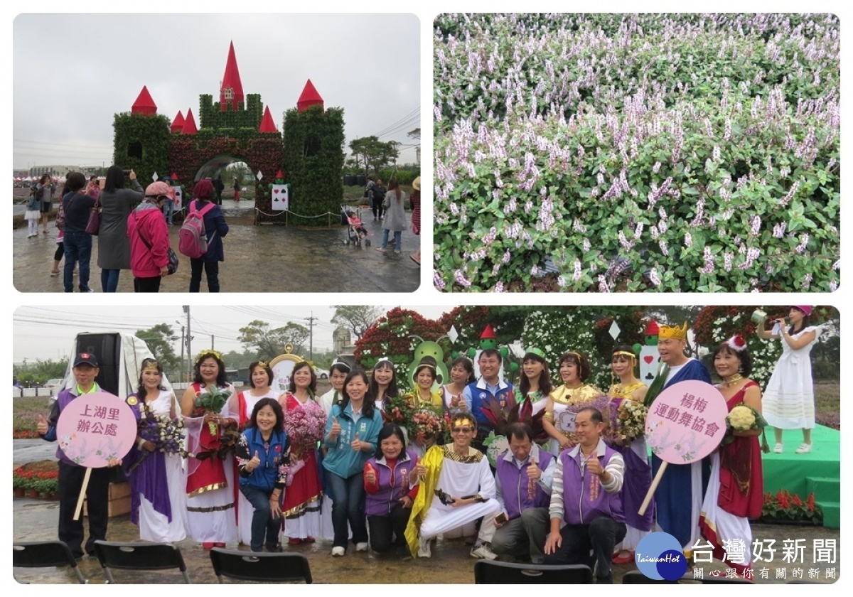 「2019桃園仙草花節」於11月23日起至12月8日開展，以「花漾楊梅仙境遊」為主題。